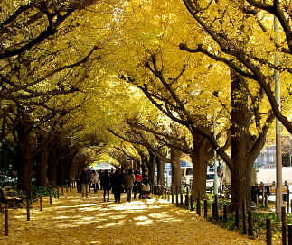 e0030426_033920.jpg
