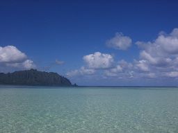 f0035830_20594228.jpg