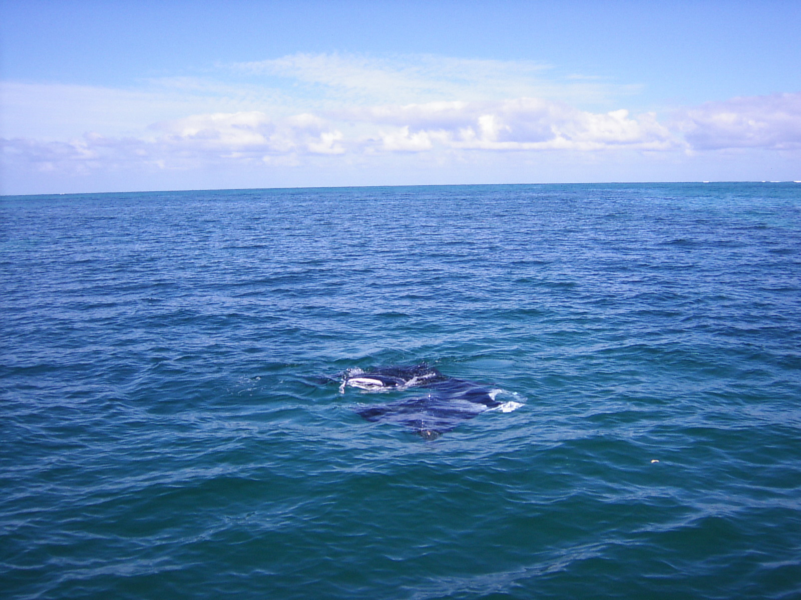 f0035830_2123193.jpg