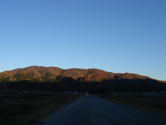 a0014840_2026461.jpg