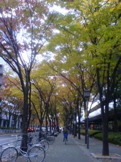 11/23 大阪・大阪城ホール_c0098756_20414952.jpg