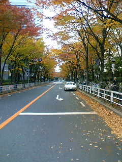 11/23 大阪・大阪城ホール_c0098756_20483892.jpg
