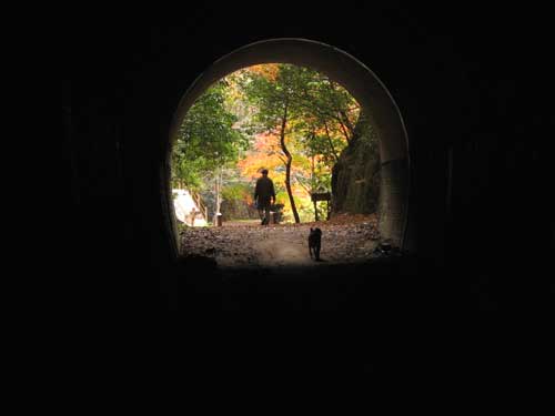 f0007956_21435294.jpg