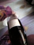 d0007957_04376.jpg