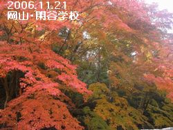 a0052666_11610100.jpg
