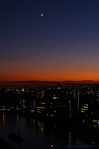 夕月_a0002073_22472962.jpg