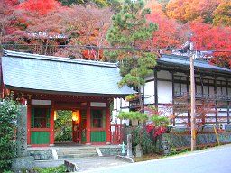 京都迷鳩案内 14　 嵯峨野　愛宕念仏寺ー紅葉_a0016177_643374.jpg