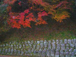 京都迷鳩案内 14　 嵯峨野　愛宕念仏寺ー紅葉_a0016177_84986.jpg