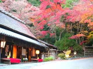 京都迷鳩案内 14　 嵯峨野　愛宕念仏寺ー紅葉_a0016177_852067.jpg