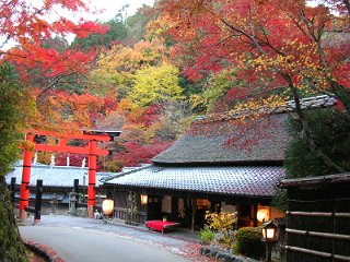 京都迷鳩案内 14　 嵯峨野　愛宕念仏寺ー紅葉_a0016177_85845.jpg