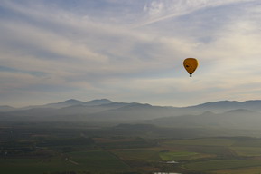 e0020882_21273.jpg
