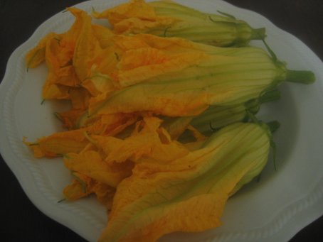 カボチャの花(Fiori di Zucca)はおいしい♪_f0090286_9321358.jpg