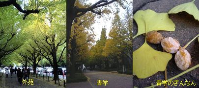 c0039291_065660.jpg