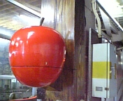 c0095091_128422.jpg