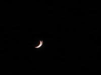 c0105295_19096.jpg