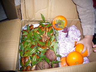 d0015096_8543025.jpg