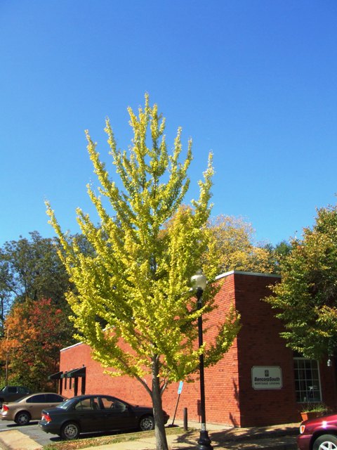 c0062603_14492798.jpg