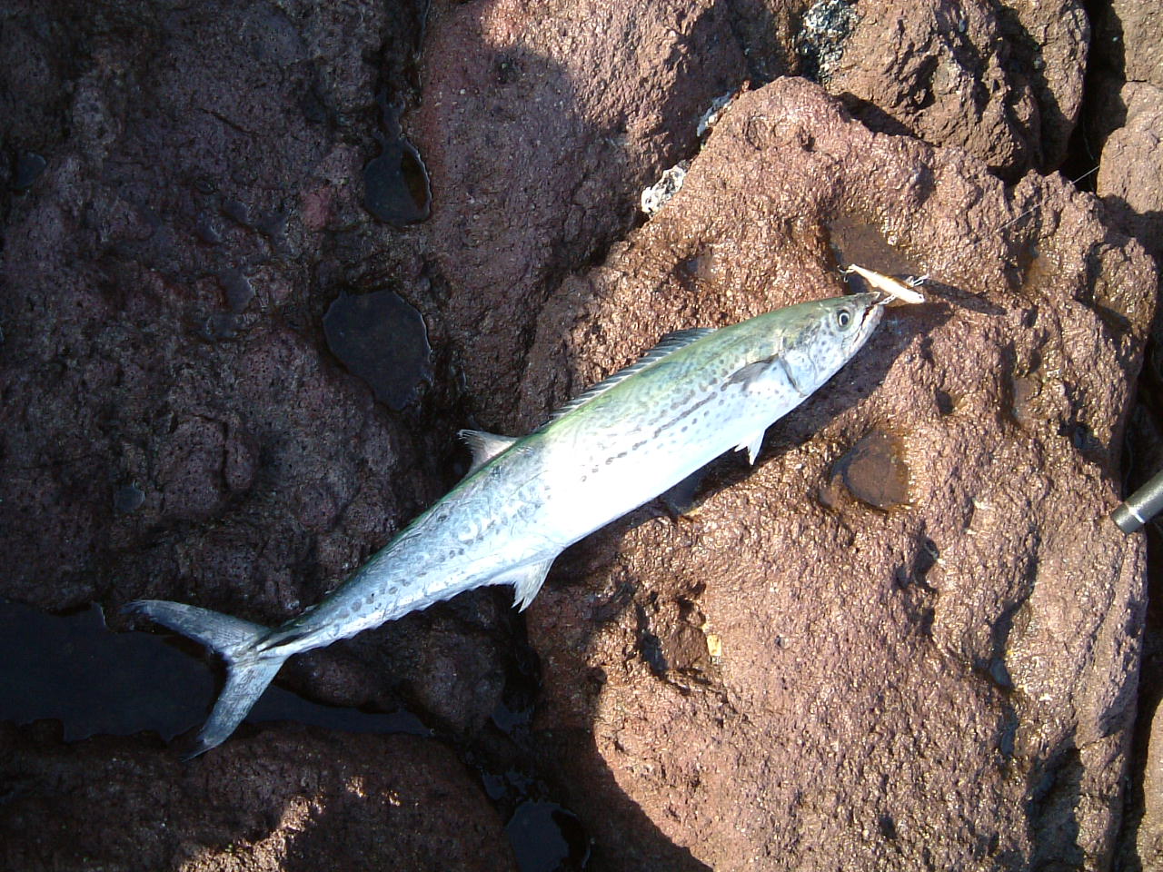 f0035404_2324772.jpg