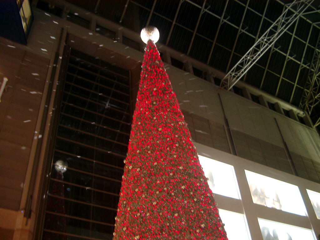 b0055308_22314564.jpg