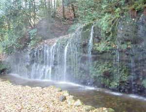f0040310_196950.jpg