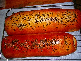 f0079111_250497.jpg