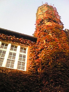 c0054112_1645358.jpg