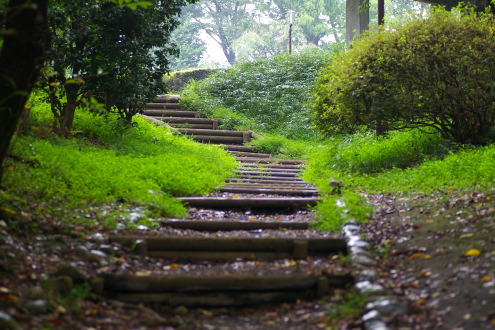 京王線沿線の風景・八王子並木道と富士森公園_b0053019_22223565.jpg