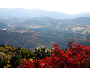 欲張り強行巡り？（14番 三井寺　13番 石山寺　12番 岩間寺　10番 三室戸寺　11番 上醍醐寺）_d0017632_199080.jpg