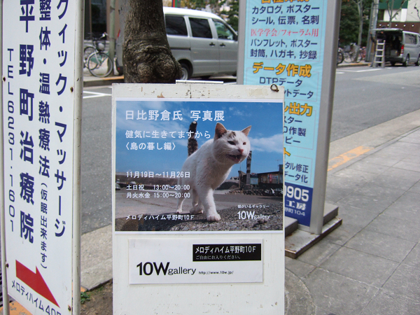 猫写真展　♪その2_d0041032_1993013.jpg