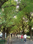 ＊自分ってやつのおおきさは　きもちしだいで、ころっころ＊　　2006,11,24_a0030038_0522047.jpg