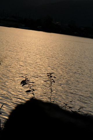 a0024250_2331924.jpg