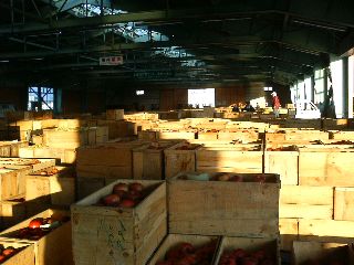 f0104457_5454698.jpg