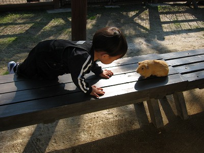 初めての動物園_d0078060_21531521.jpg