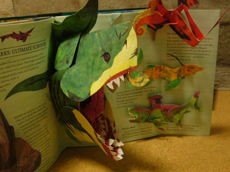 POP- UP BOOKS_b0105562_2243071.jpg