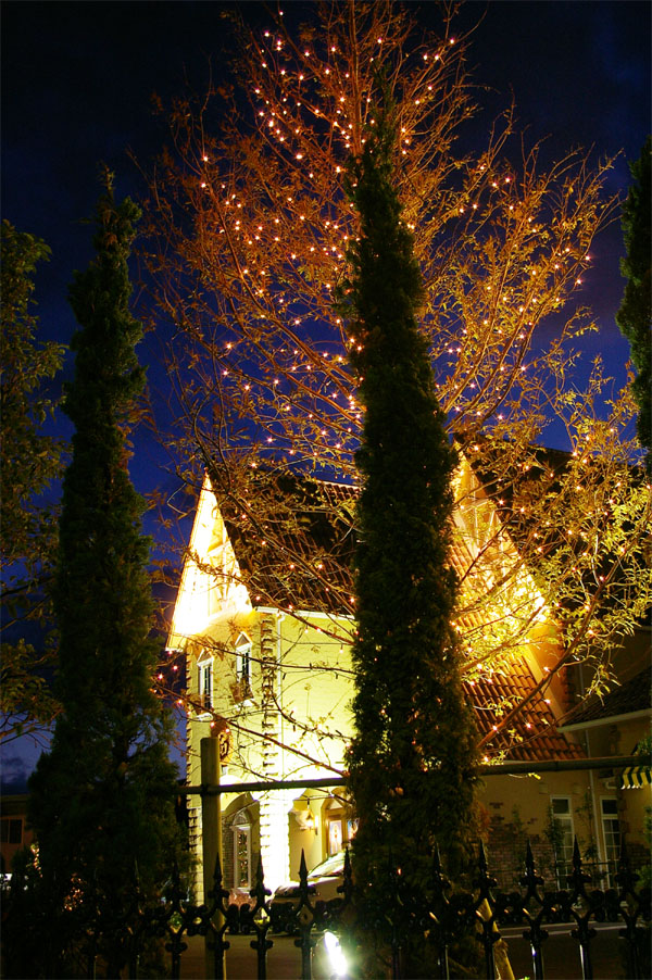 観音寺／イルミネーション_e0101776_22243695.jpg