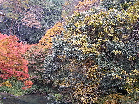 高山寺から槇尾・西明寺へ_c0009190_1450540.jpg