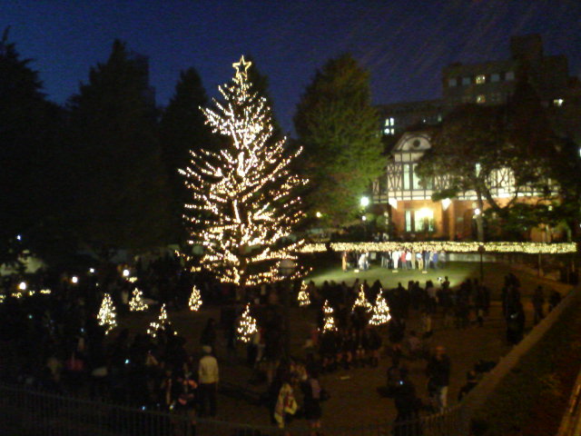 f0000593_016121.jpg
