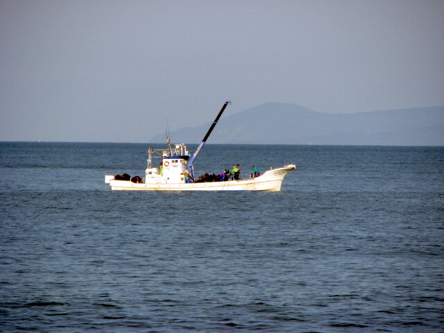f0020302_1646686.jpg