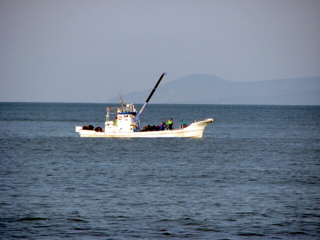 久しぶりの野付半島_f0020302_1646686.jpg