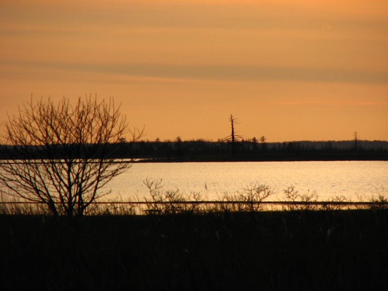 f0020302_16512181.jpg