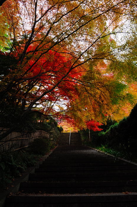 呪われた休日・金蔵寺_f0032011_19275598.jpg