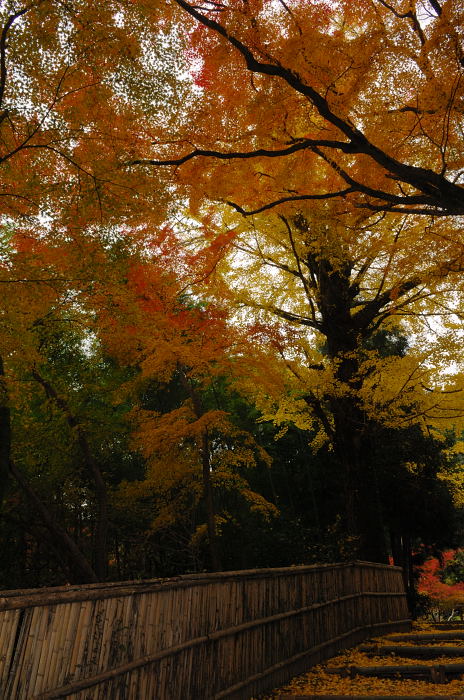 呪われた休日・金蔵寺_f0032011_19281154.jpg