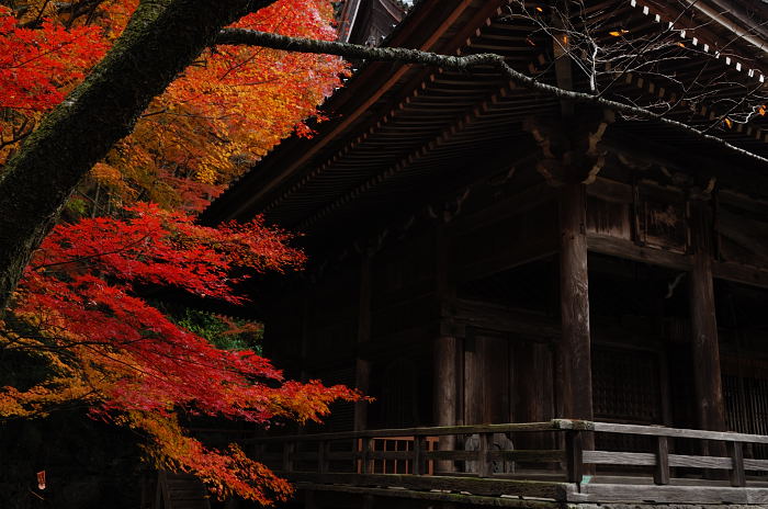 呪われた休日・金蔵寺_f0032011_19282084.jpg