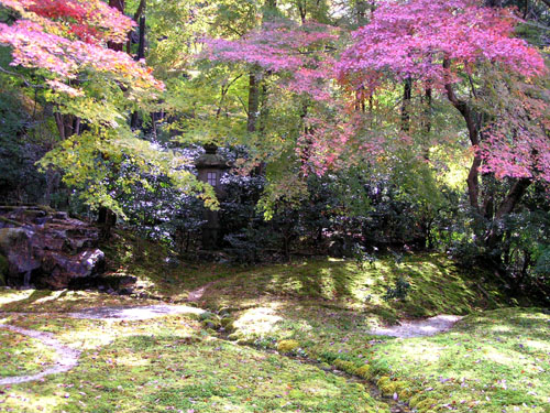 八瀬 瑠璃光院_e0048413_19553266.jpg