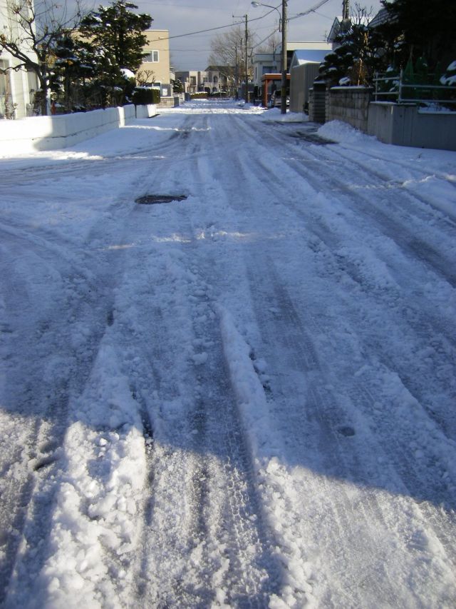 雪の朝_c0025115_01328.jpg