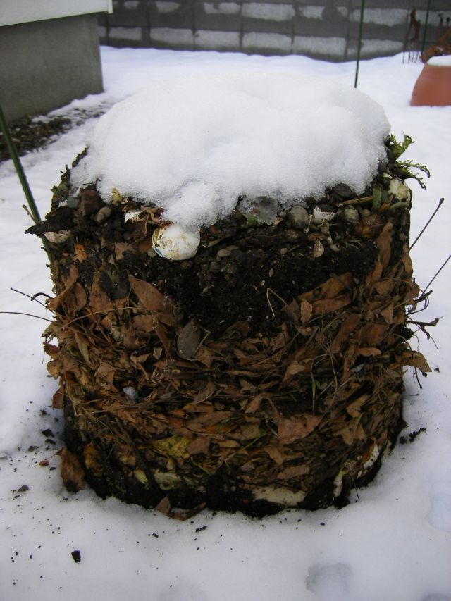雪の朝_c0025115_013863.jpg
