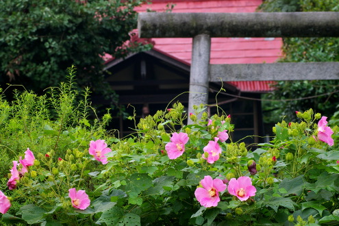 b0053019_22544428.jpg