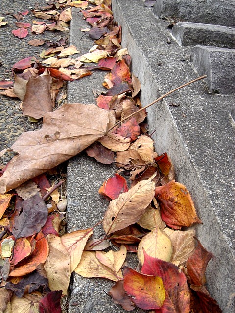 c0003723_198244.jpg