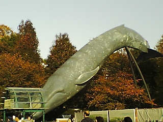 a0054924_16451330.jpg