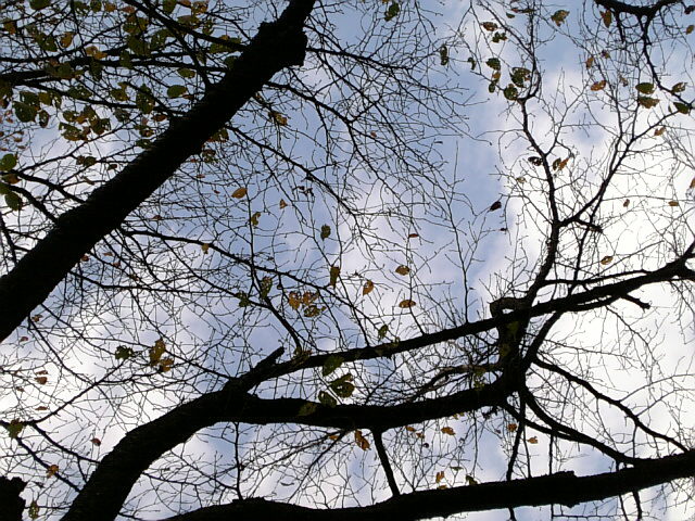 f0087245_1242823.jpg